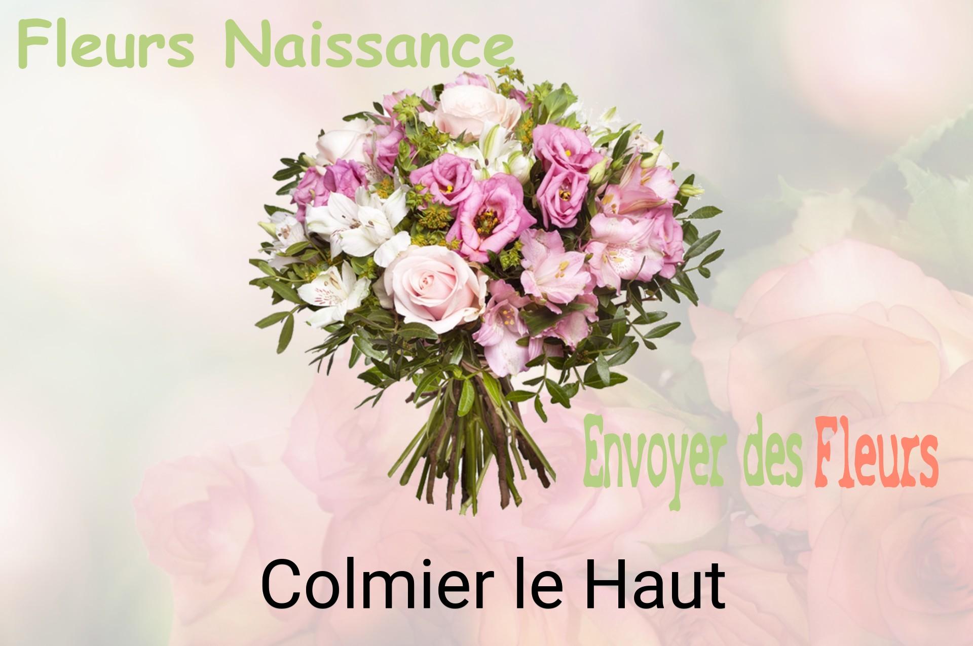 Bouquet de fleurs de naissance livré à Colmier-le-Haut