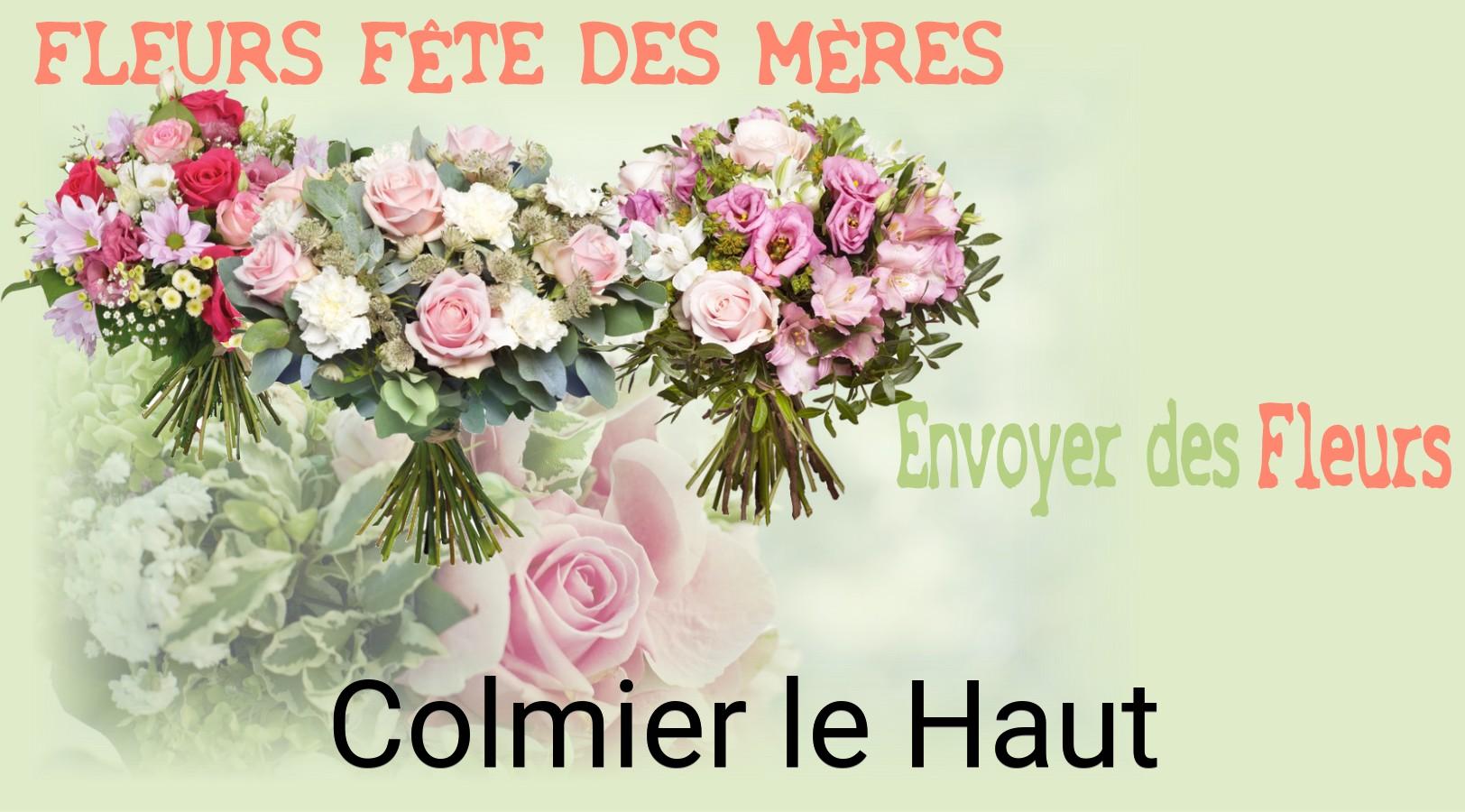 Bouquet de Fête des Mères livré à Colmier-le-Haut